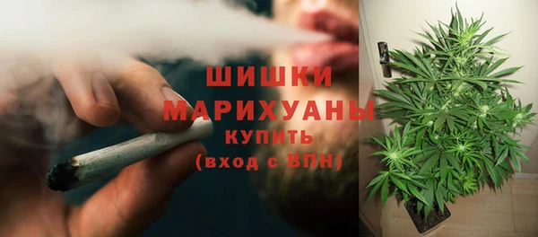 спиды Нея