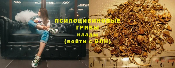 спиды Нея